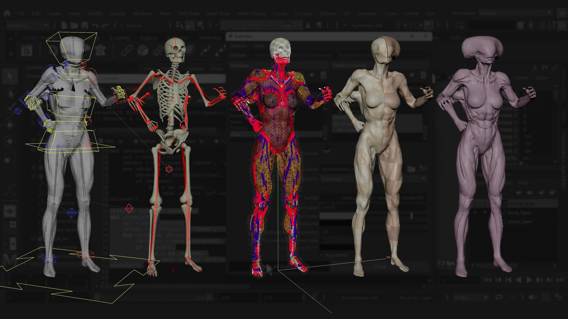 Introduction to Ziva VFX: Volume 2